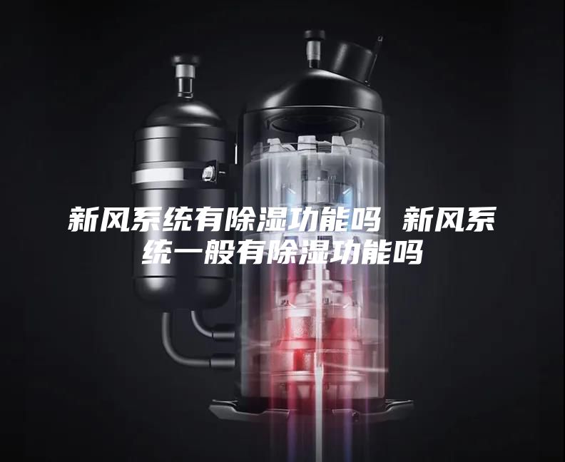 新風系統有除濕功能嗎 新風系統一般有除濕功能嗎