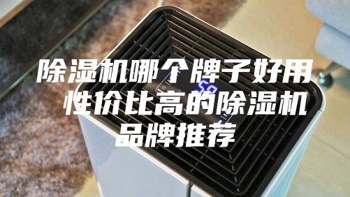 除濕機哪個牌子好用 性價比高的除濕機品牌推薦