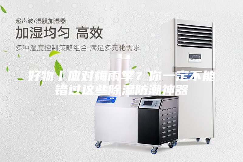 好物丨應對梅雨季?你一定不能錯過這些除濕防潮神器