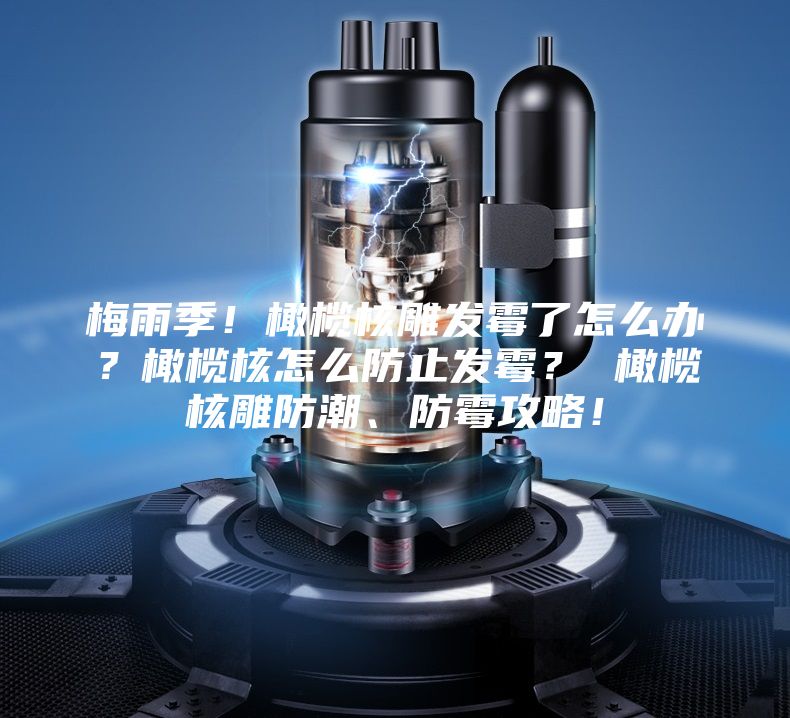 梅雨季！橄欖核雕發霉了怎么辦？橄欖核怎么防止發霉？ 橄欖核雕防潮、防霉攻略！