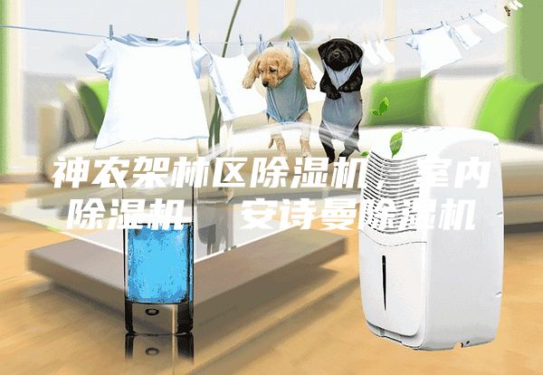 神農架林區除濕機，室內除濕機  安詩曼除濕機