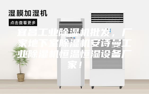 宜昌工業除濕機批發，廠家地下室除濕機安詩曼工業除濕機恒溫恒濕設備廠家！