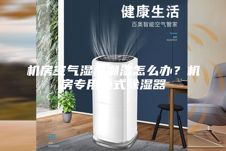 機房空氣濕度潮濕怎么辦？機房專用柜式除濕器
