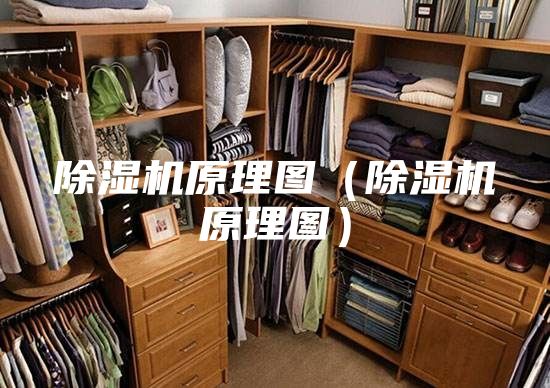 除濕機(jī)原理圖（除濕機(jī)原理圖）