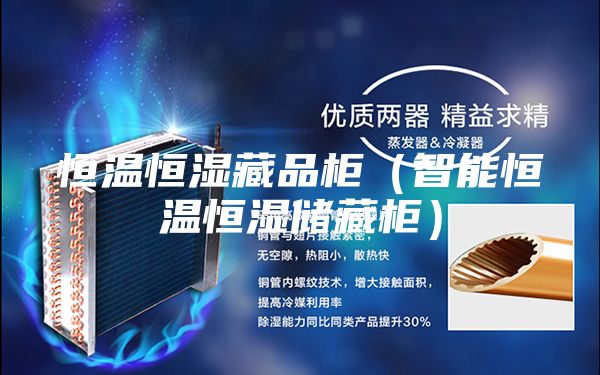 恒溫恒濕藏品柜(智能恒溫恒濕儲藏柜)