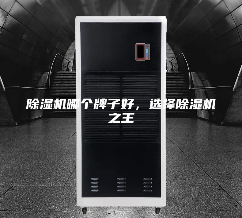 除濕機(jī)哪個(gè)牌子好，選擇除濕機(jī)之王