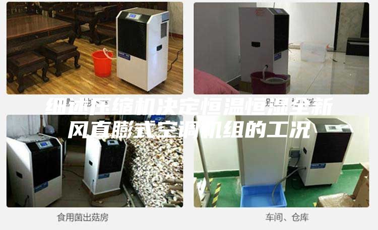 細述壓縮機決定恒溫恒濕全新風直膨式空調(diào)機組的工況