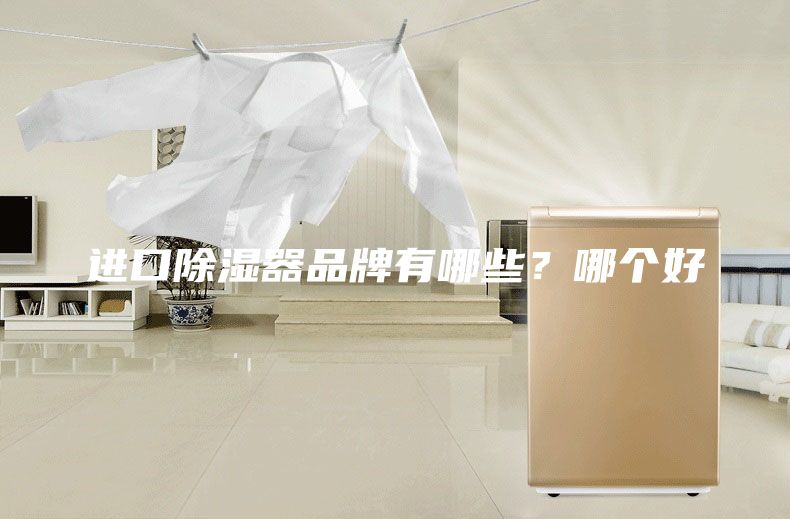 進(jìn)口除濕器品牌有哪些？哪個好
