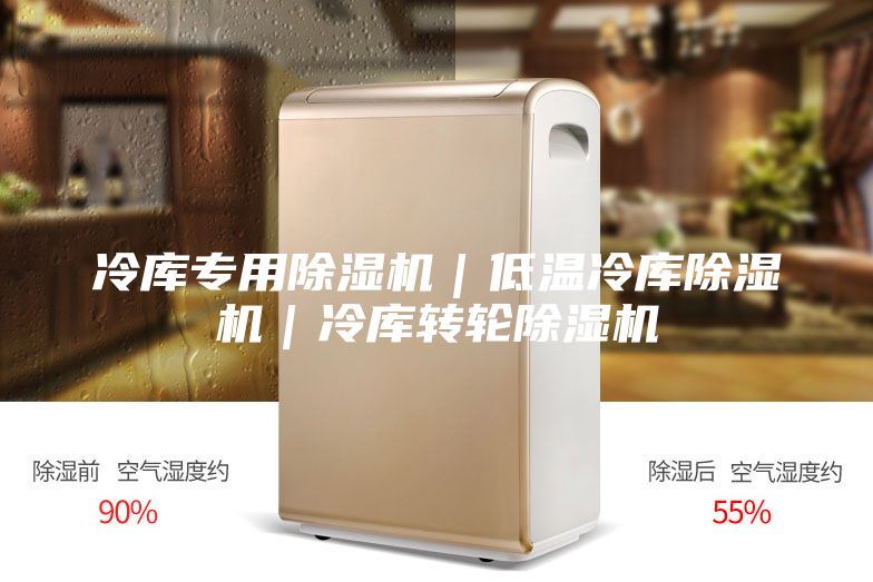 冷庫(kù)專用除濕機(jī)｜低溫冷庫(kù)除濕機(jī)｜冷庫(kù)轉(zhuǎn)輪除濕機(jī)