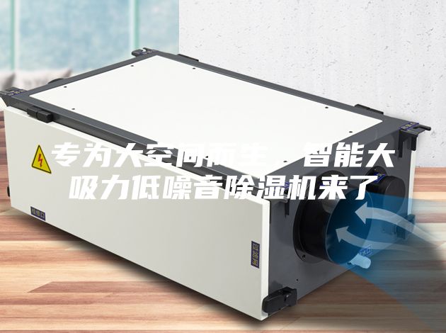 專為大空間而生,智能大吸力低噪音除濕機(jī)來了