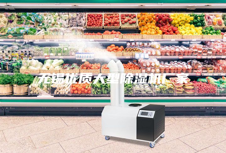 無(wú)錫優(yōu)質(zhì)大型除濕機(jī)廠(chǎng)家