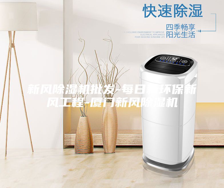 新風(fēng)除濕機(jī)批發(fā)-每日新環(huán)保新風(fēng)工程-廈門新風(fēng)除濕機(jī)