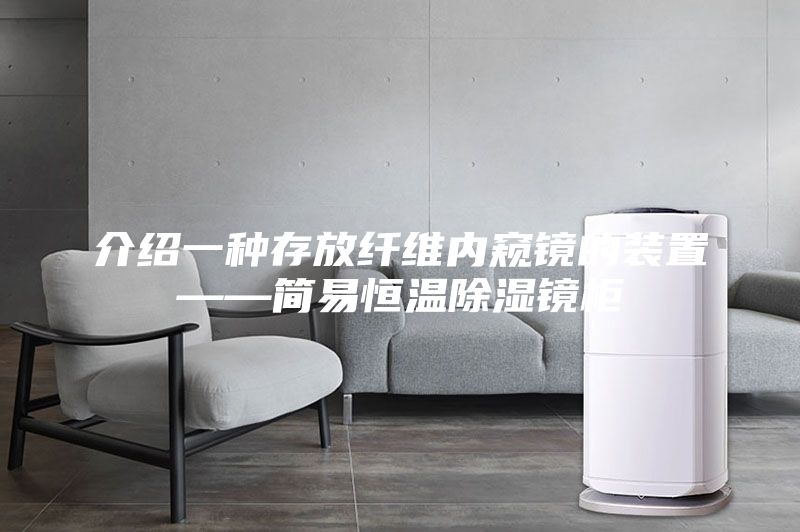 介紹一種存放纖維內窺鏡的裝置——簡易恒溫除濕鏡柜