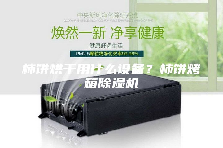 柿餅烘干用什么設(shè)備？柿餅烤箱除濕機(jī)