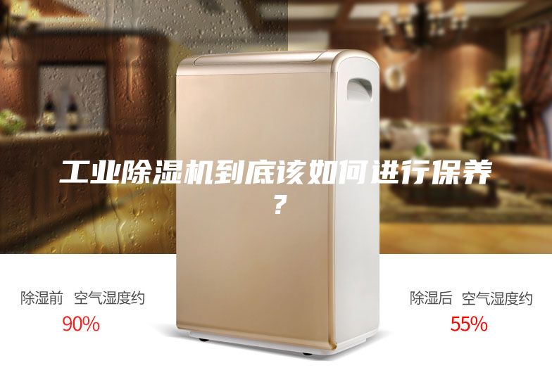 工業(yè)除濕機到底該如何進行保養(yǎng)？