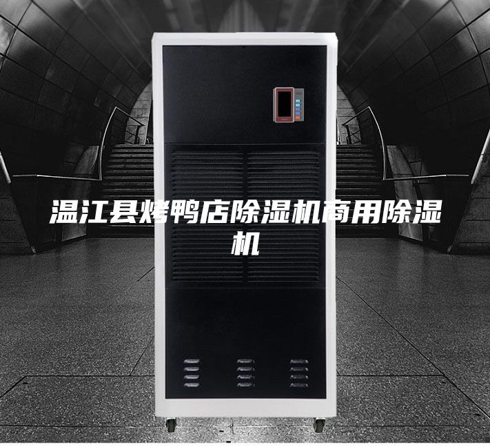 溫江縣烤鴨店除濕機商用除濕機