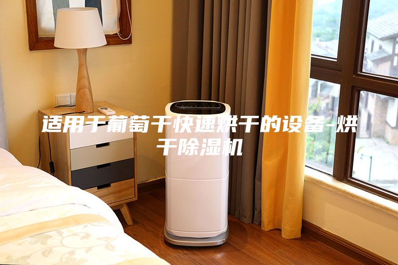 適用于葡萄干快速烘干的設備-烘干除濕機