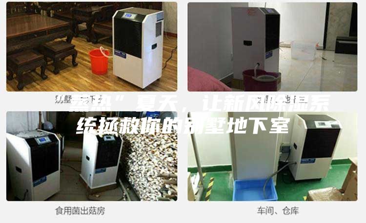 “蒸熱”夏天,讓新風(fēng)除濕系統(tǒng)拯救你的別墅地下室
