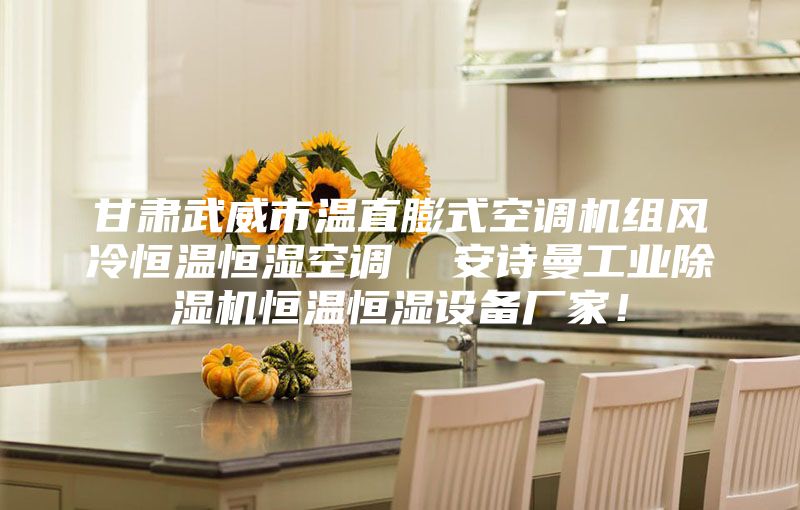 甘肅武威市溫直膨式空調(diào)機(jī)組風(fēng)冷恒溫恒濕空調(diào)  安詩(shī)曼工業(yè)除濕機(jī)恒溫恒濕設(shè)備廠家！