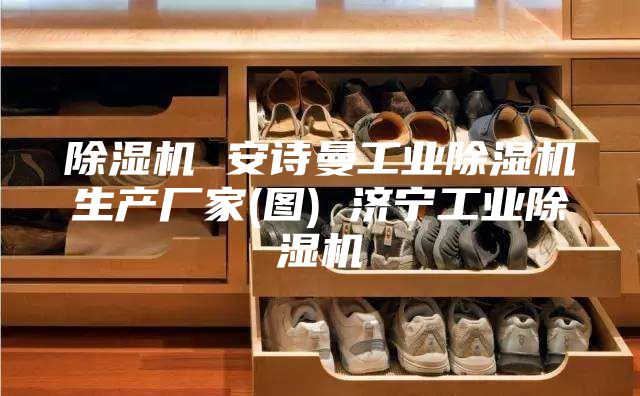 除濕機(jī) 安詩曼工業(yè)除濕機(jī)生產(chǎn)廠家(圖) 濟(jì)寧工業(yè)除濕機(jī)