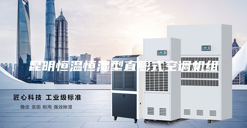 昆明恒溫恒濕型直膨式空調機組