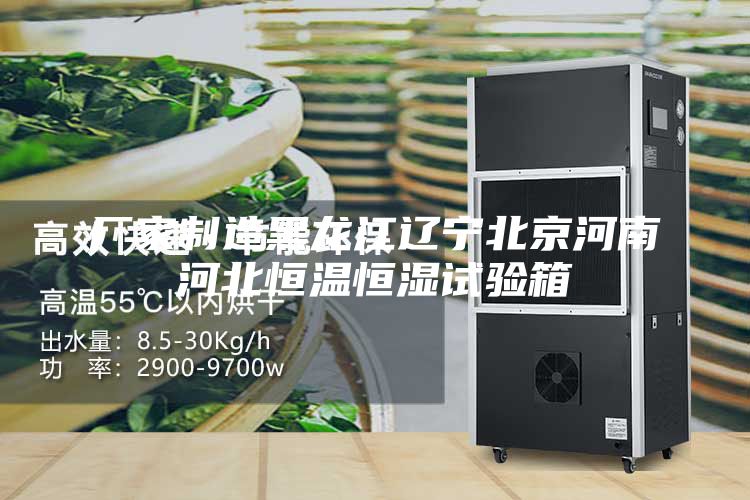 廠家制造黑龍江遼寧北京河南河北恒溫恒濕試驗(yàn)箱