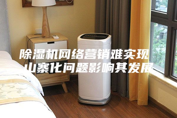 除濕機網絡營銷難實現 山寨化問題影響其發展