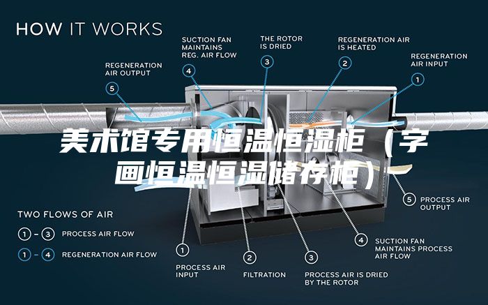 美術(shù)館專用恒溫恒濕柜（字畫恒溫恒濕儲存柜）