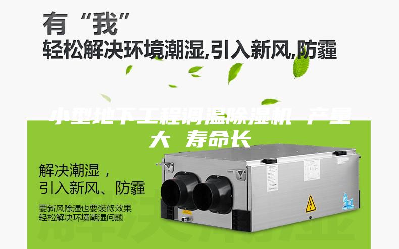 小型地下工程調(diào)溫除濕機 產(chǎn)量大 壽命長