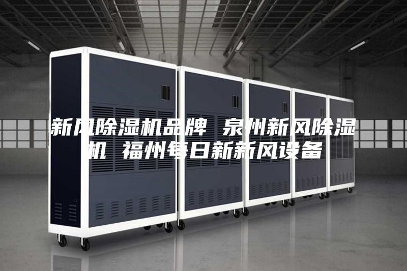新風(fēng)除濕機(jī)品牌 泉州新風(fēng)除濕機(jī) 福州每日新新風(fēng)設(shè)備