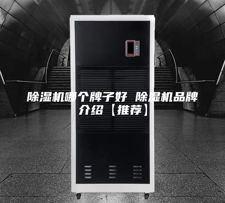 除濕機(jī)哪個(gè)牌子好 除濕機(jī)品牌介紹【推薦】