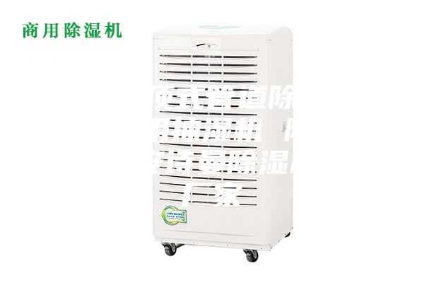 武漢吊頂式管道除濕機，游泳館用抽濕機 除濕防潮設備安詩曼除濕機生產廠家