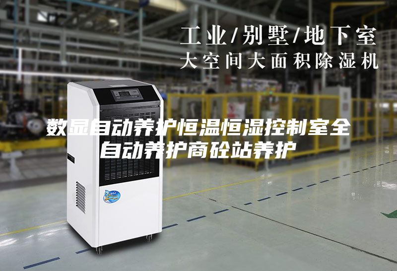 數(shù)顯自動(dòng)養(yǎng)護(hù)恒溫恒濕控制室全自動(dòng)養(yǎng)護(hù)商砼站養(yǎng)護(hù)