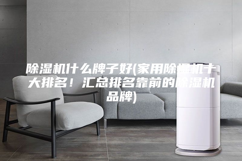 除濕機(jī)什么牌子好(家用除濕機(jī)十大排名!匯總排名靠前的除濕機(jī)品牌)