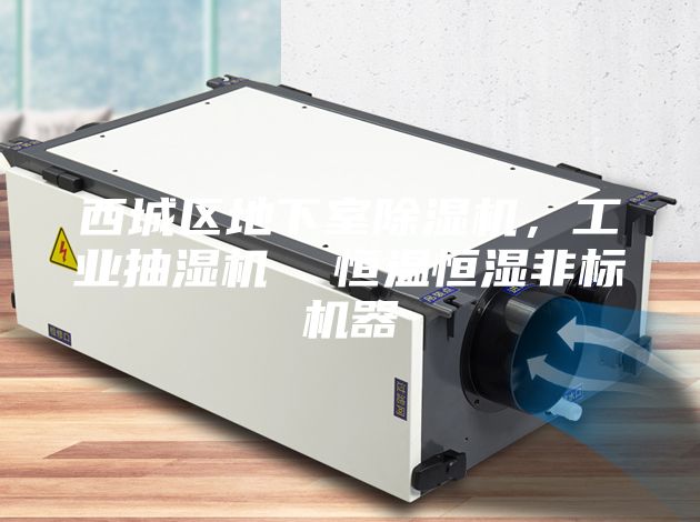 西城區地下室除濕機，工業抽濕機  恒溫恒濕非標機器