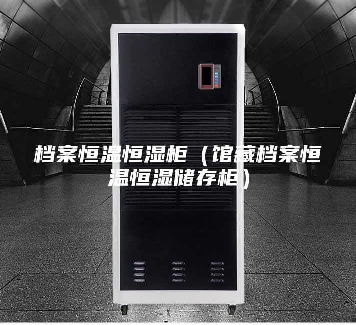 檔案恒溫恒濕柜(館藏檔案恒溫恒濕儲(chǔ)存柜)