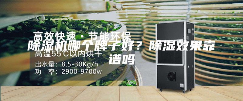 除濕機哪個牌子好？除濕效果靠譜嗎