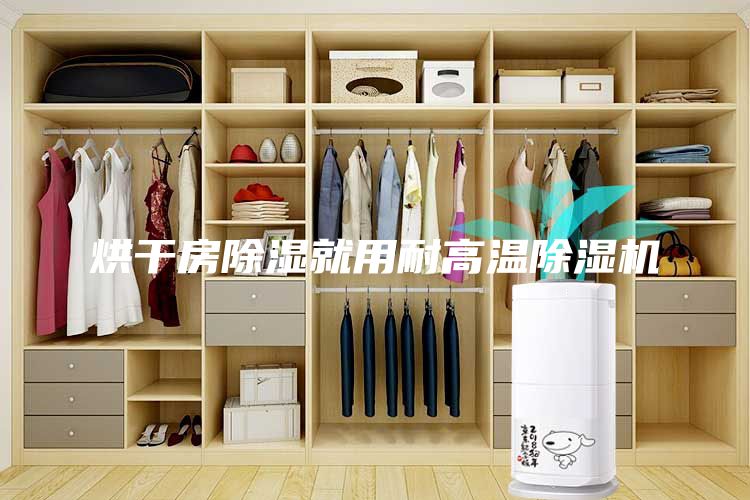 烘干房除濕就用耐高溫除濕機(jī)