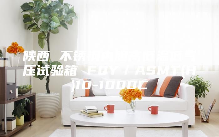 陜西 不銹鋼內(nèi)膽高低溫低氣壓試驗箱 FQY/ASMT(H)10-1000C