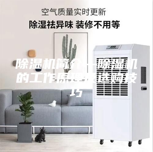 除濕機(jī)簡介—除濕機(jī)的工作原理及選購技巧
