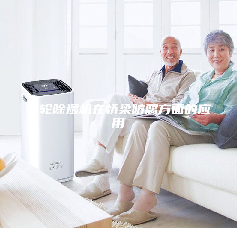 轉輪除濕機在橋梁防腐方面的應用