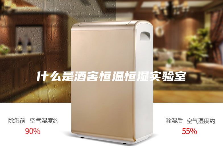 什么是酒窖恒溫恒濕實驗室