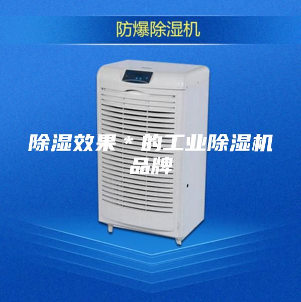 除濕效果＊的工業(yè)除濕機(jī)品牌