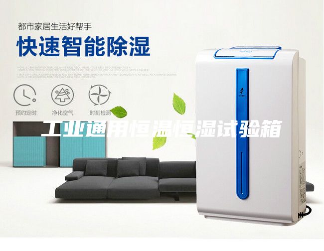 工業(yè)通用恒溫恒濕試驗箱