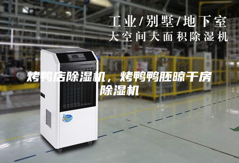 烤鴨店除濕機,烤鴨鴨胚晾干房除濕機