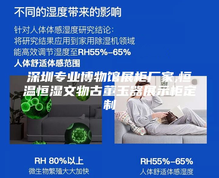 深圳專業博物館展柜廠家,恒溫恒濕文物古董玉器展示柜定制