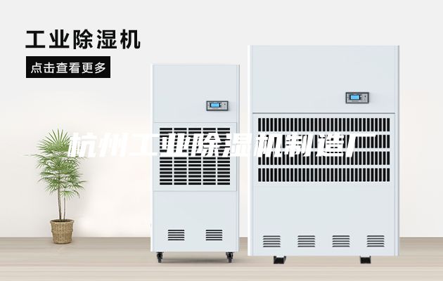 杭州工業除濕機制造廠