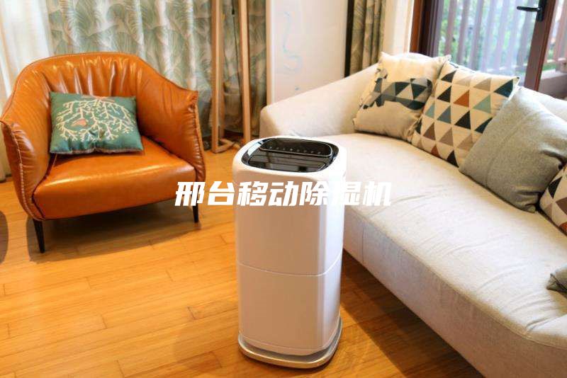 邢臺(tái)移動(dòng)除濕機(jī)