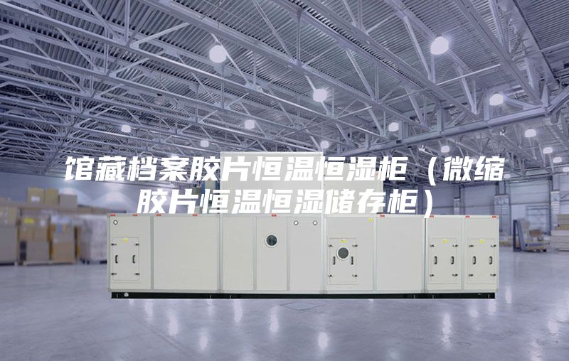 館藏檔案膠片恒溫恒濕柜（微縮膠片恒溫恒濕儲存柜）
