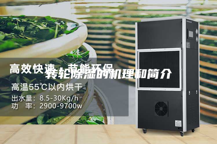轉(zhuǎn)輪除濕的機(jī)理和簡(jiǎn)介